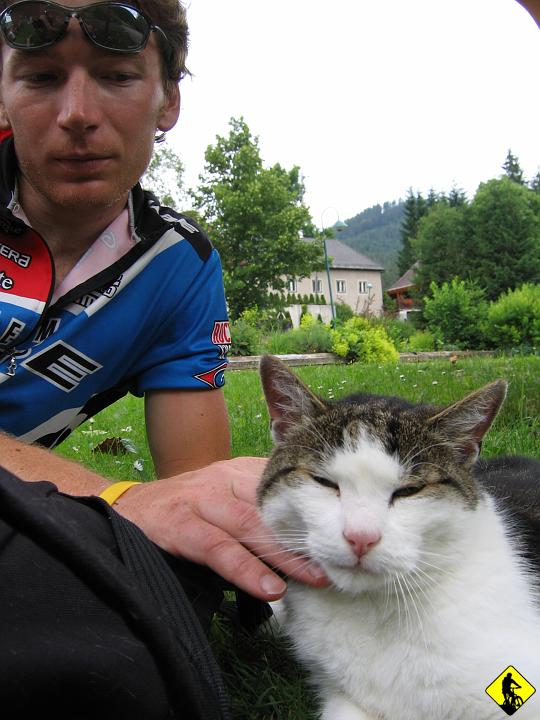 Karta1_ 240.jpg - Cel:  Pętla powrotna przez Gutenstein